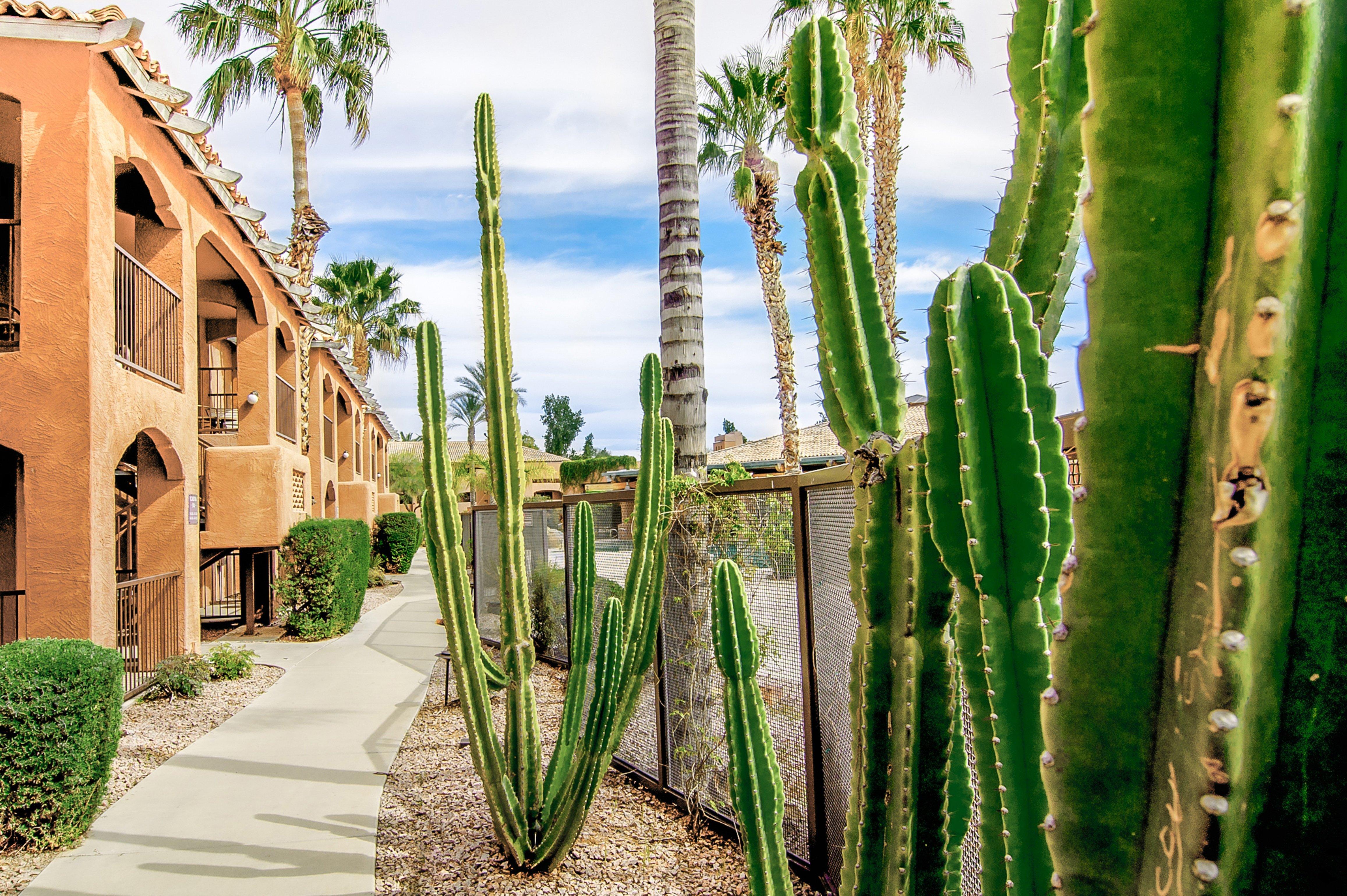 Holiday Inn Club Vacations Scottsdale Resort Eksteriør billede